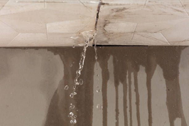 Professional Water Damage Inspection technician working in Pinellas Park, FL